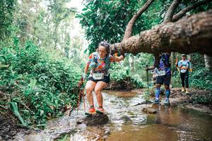 BIB: 
                            <button type="button" onclick="openModal(25375915)" class="btn btn-primary btn-sm float-right btn-popup" data-toggle="modal" data-target=".modal-high-quality">
                        <i class="fas fa-shopping-cart"></i> Add to Cart
                    </button>
                                            <button type="button" onclick="isThisMe(25375915, true)" class="btn btn-success btn-sm float-right btn-popup btn-isme hidden" data-toggle="tooltip" data-placement="bottom" title="นี่คือรูปของคุณใช่ไหม คลิกที่นี่เพื่อเอาเข้าอัลบั้ม">
                        <i class="fas fa-plus"></i> Add to album
                    </button>
                    <button type="button" onclick="isThisMe(25375915, false)" class="btn btn-warning btn-sm float-right btn-popup btn-isnotme hidden">
                        <i class="fas fa-ban"></i> Remove from album
                    </button>